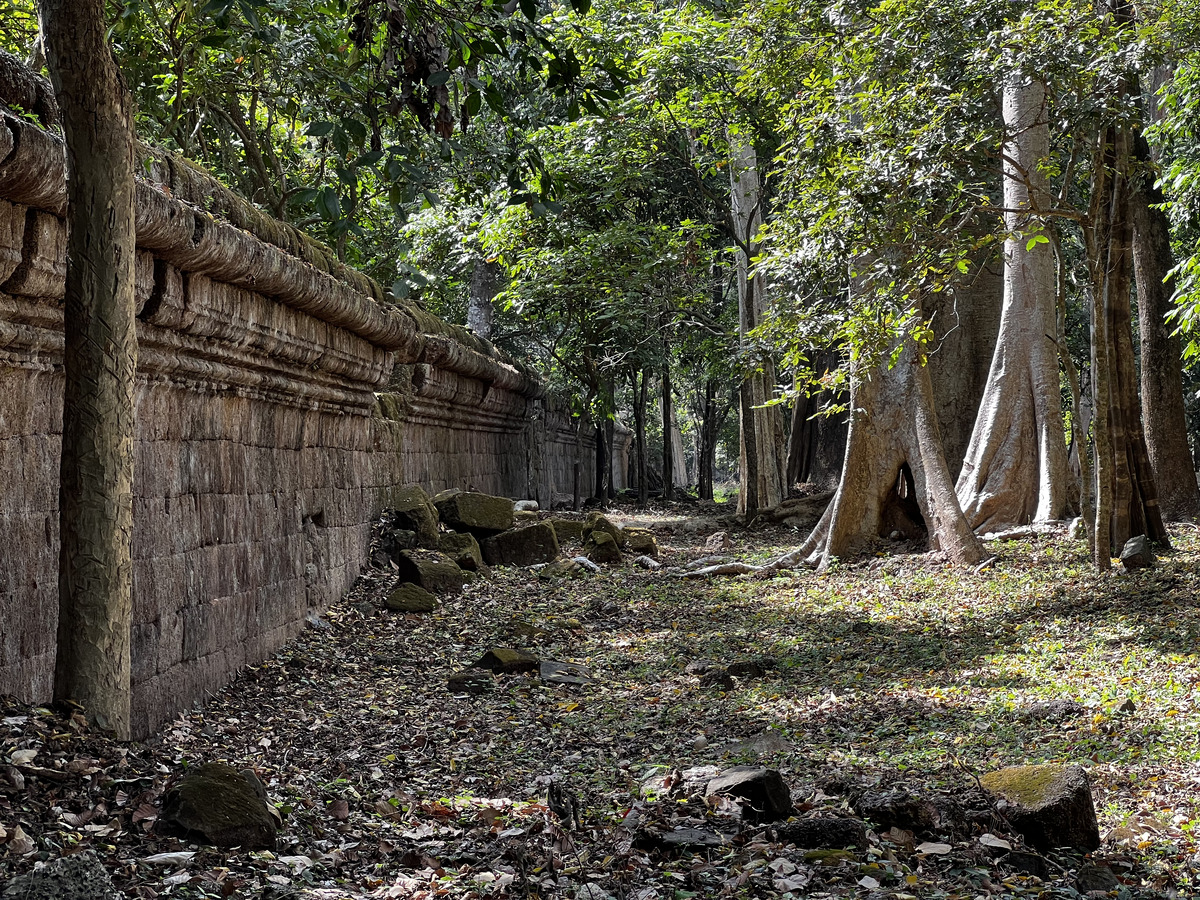 Photo Cambodge Siem Reap Angkor Thom 2023-01 27