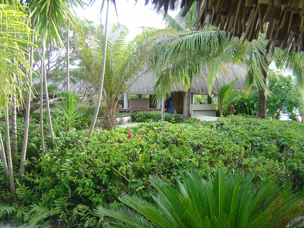 Photo Polynésie Hotel Meridien Bora Bora 2006-04 187