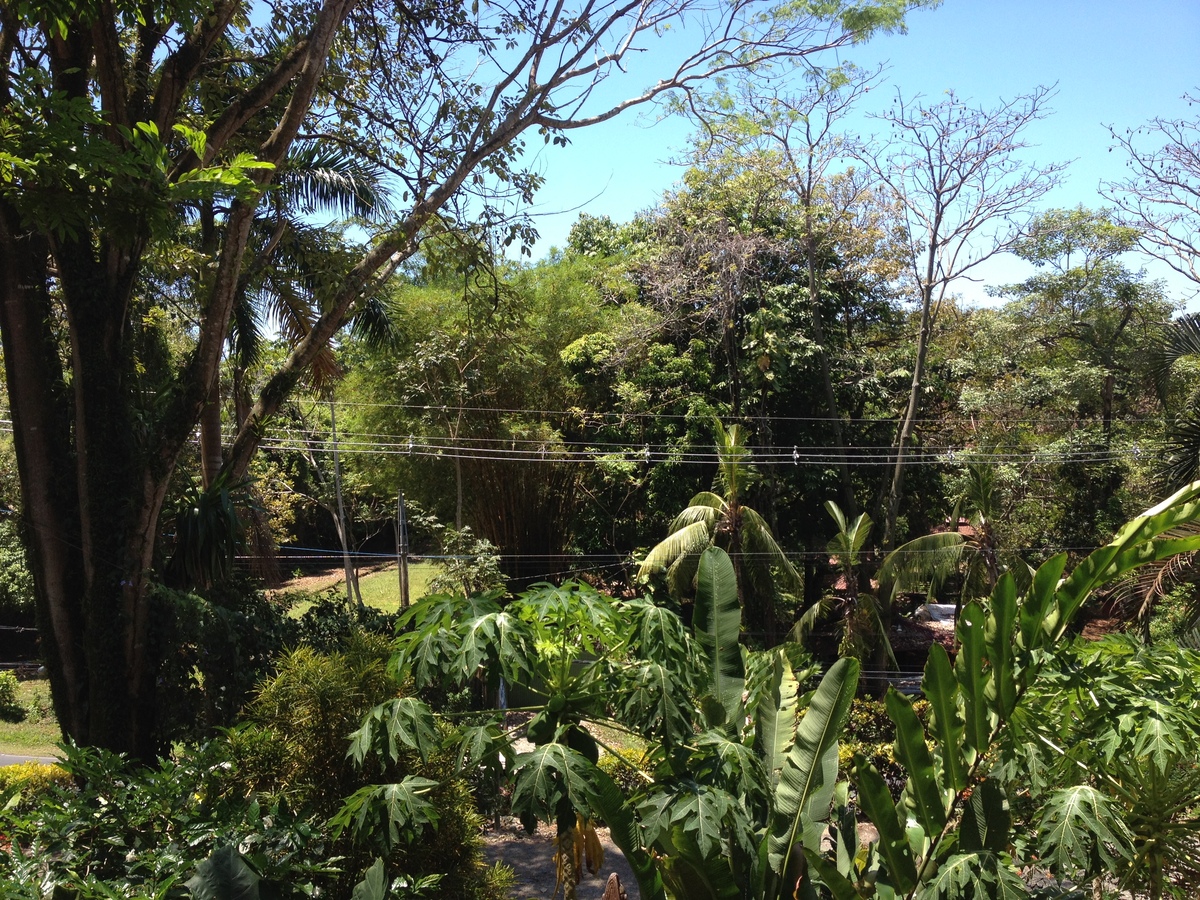 Photo Costa Rica Parc Manuel Antonio 2015-03 73