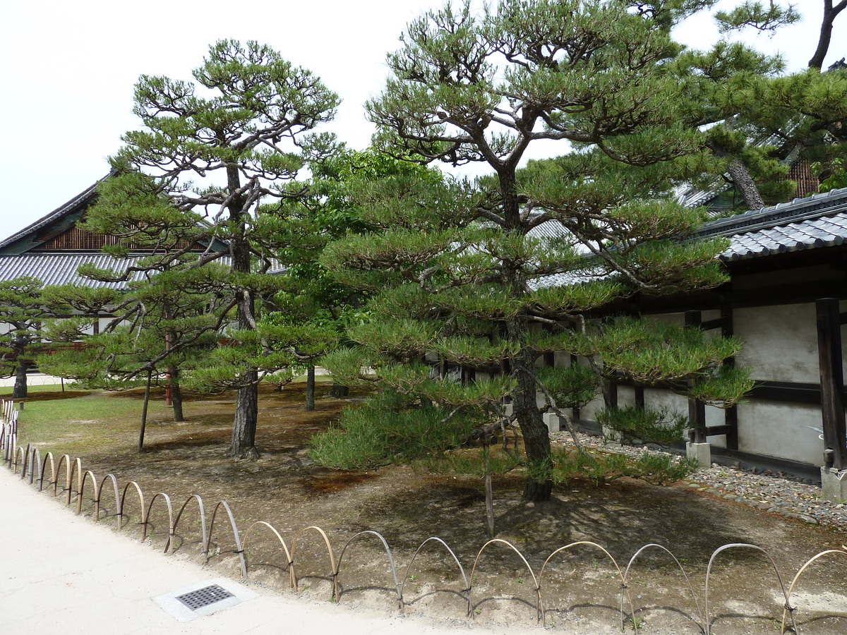 Photo Japon Kyoto Château Nijo 2010-06 80