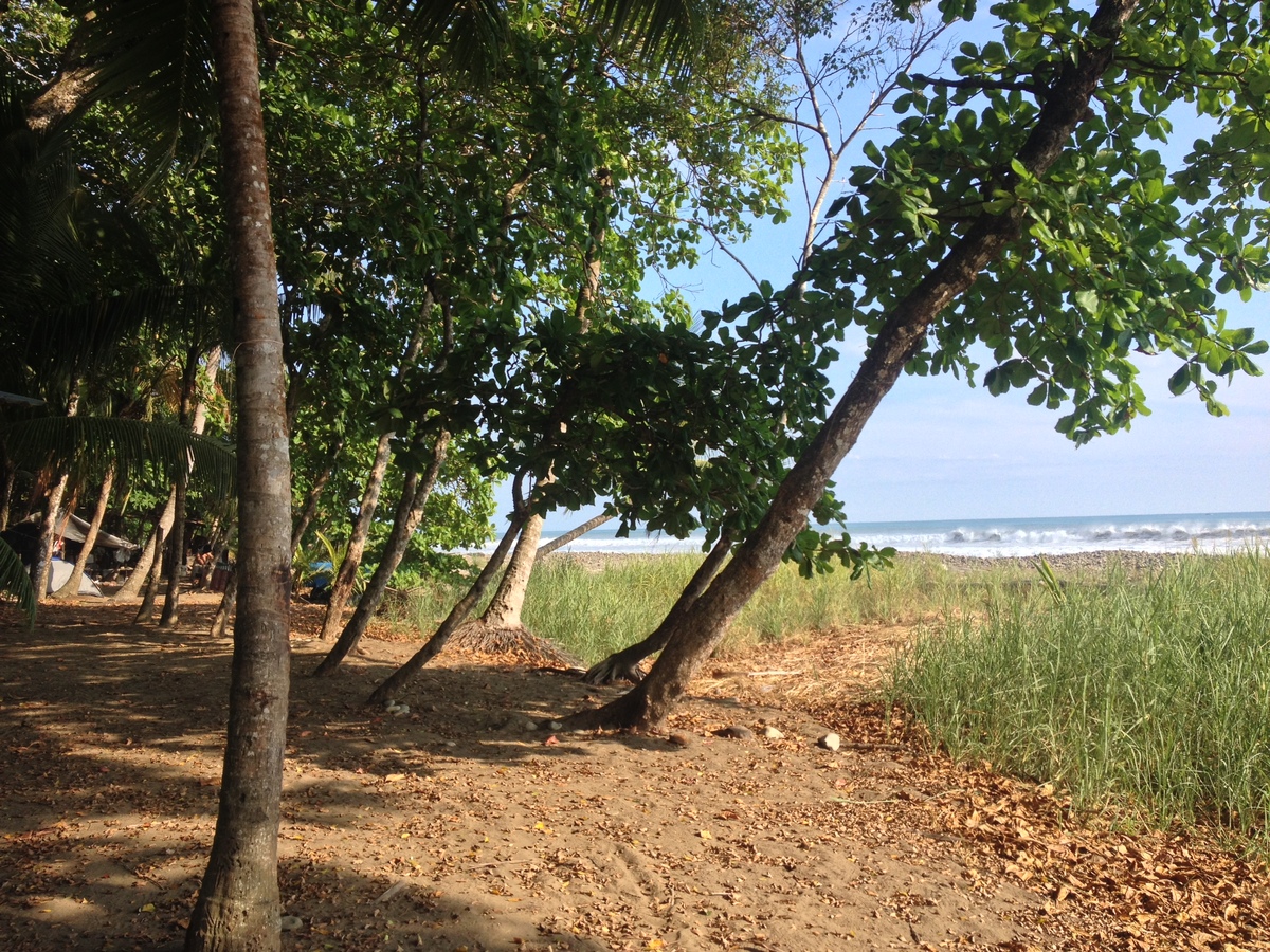 Photo Costa Rica Dominical 2015-03 114