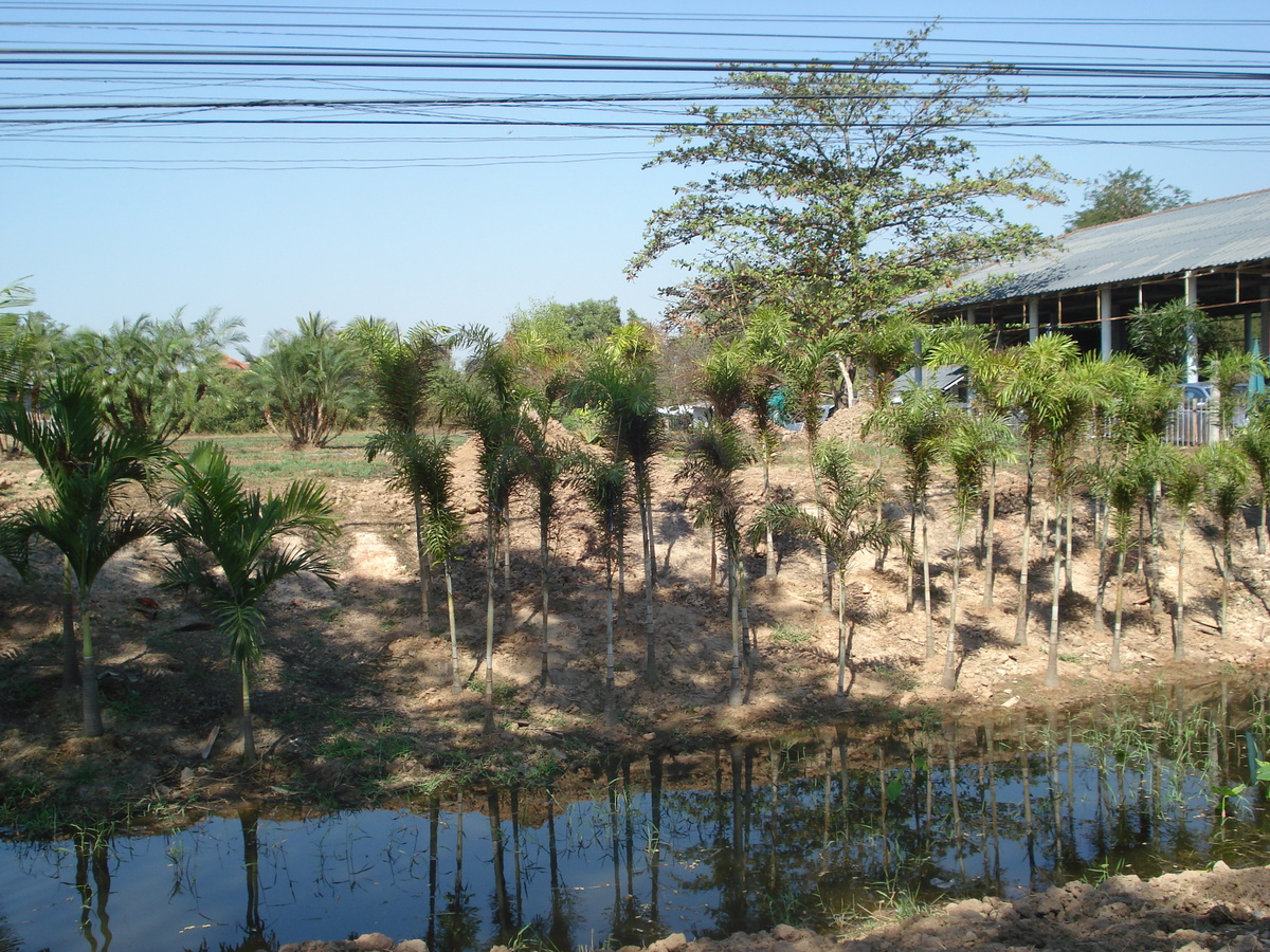 Photo Thaïlande Phitsanulok rue Mittraparp 2008-01 12