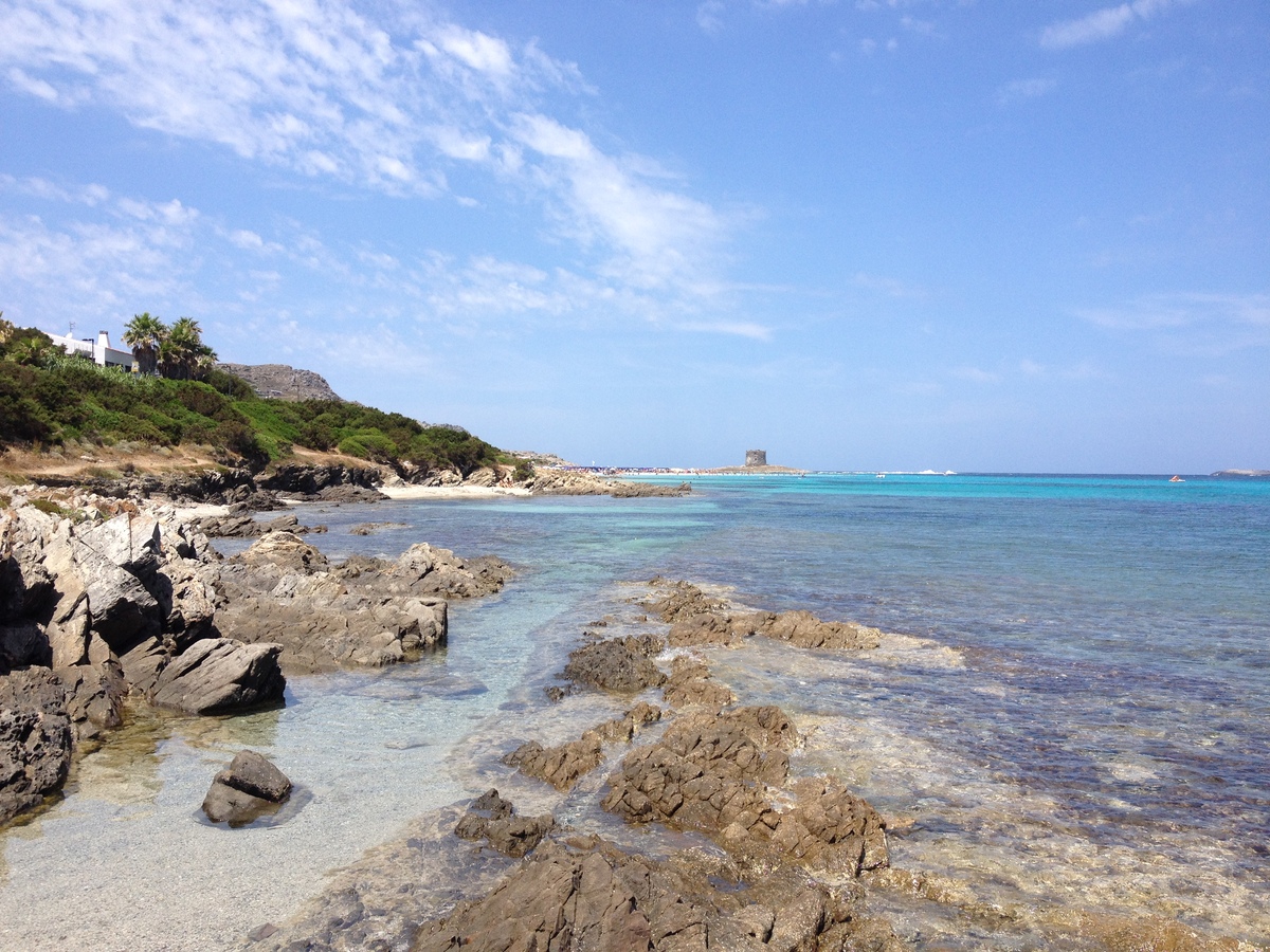 Photo Italie Sardaigne Capo del Falcone 2015-06 48