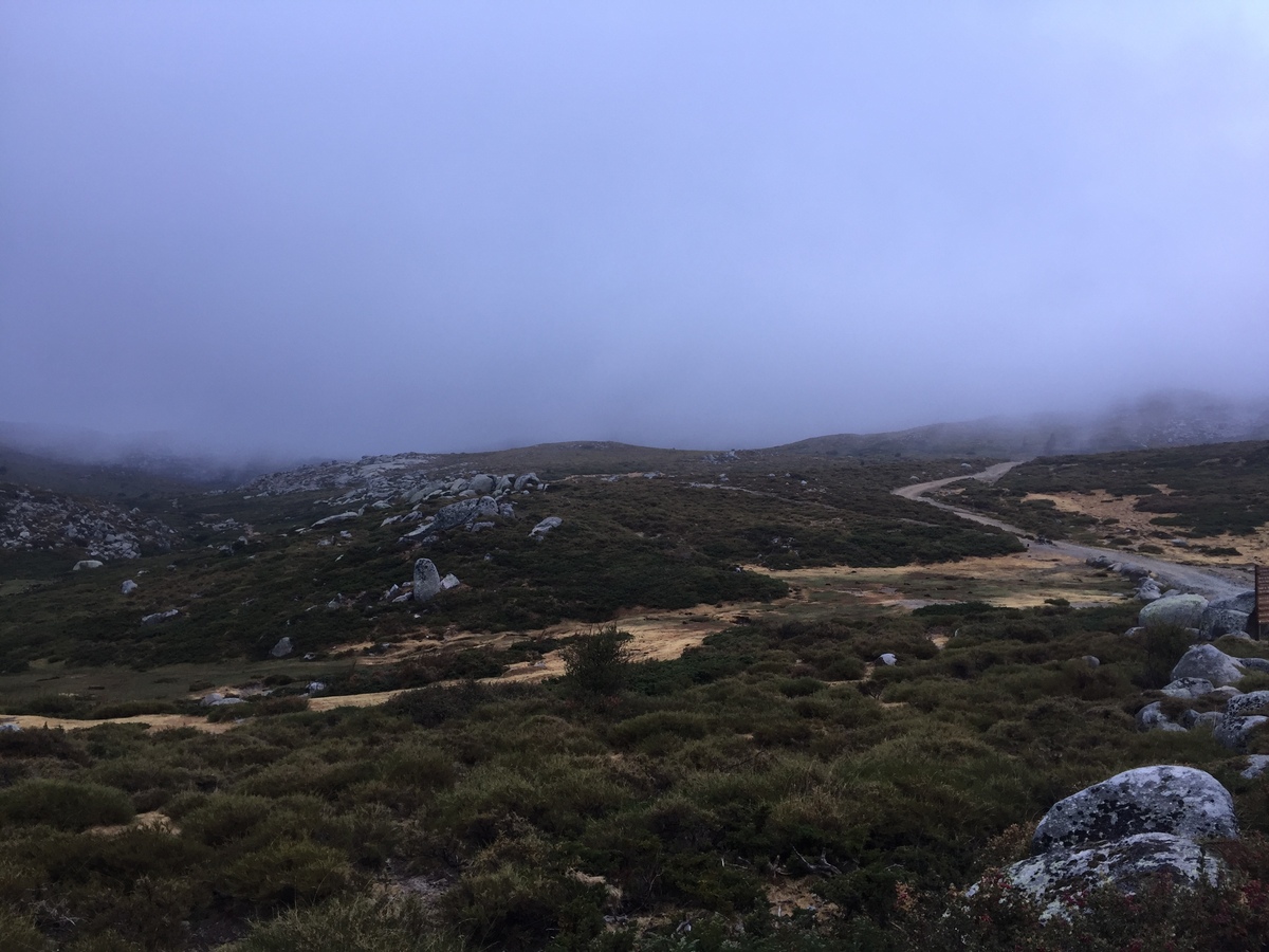Photo France Corse Alta Rocca 2017-09 12