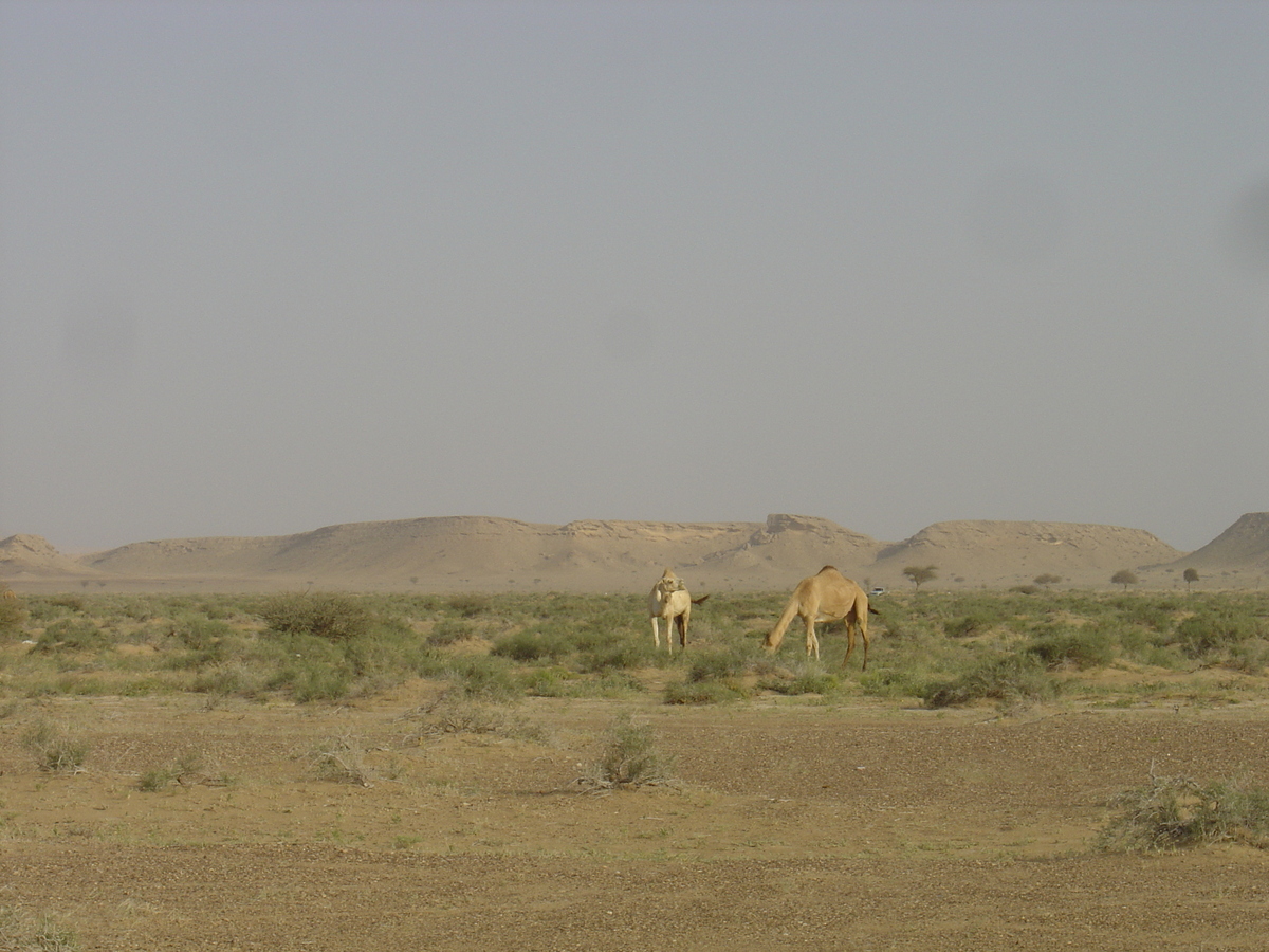 Photo Oman Route de Buraimi à Mahada 2005-03 27