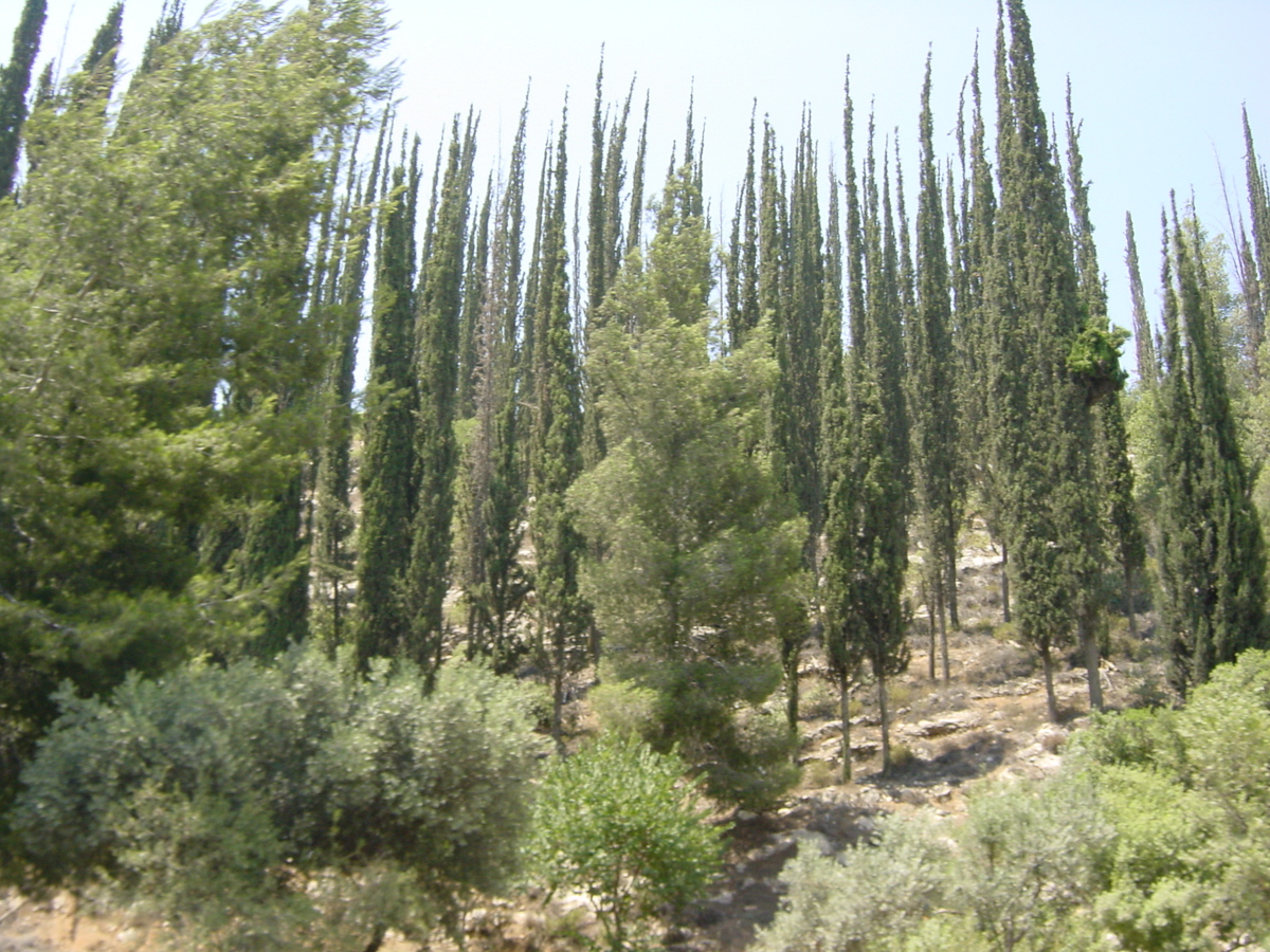 Photo Israel Route 2001-07 16