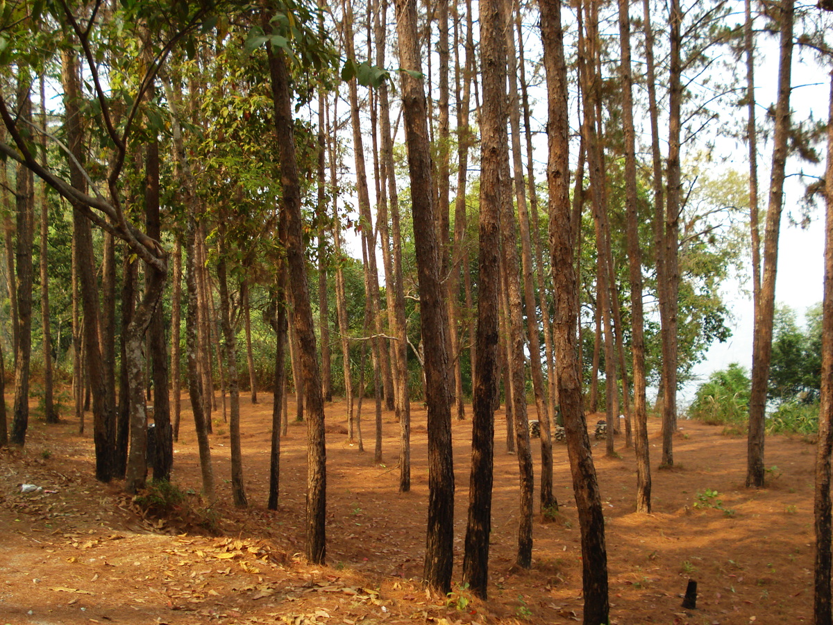 Photo Thaïlande Route de Chiang Mai à Pai 2007-02 125