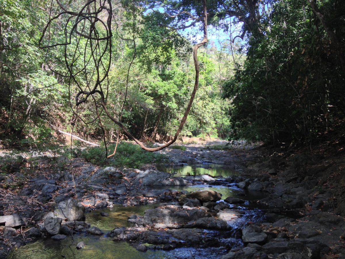 Photo Costa Rica Montezuma 2015-03 194
