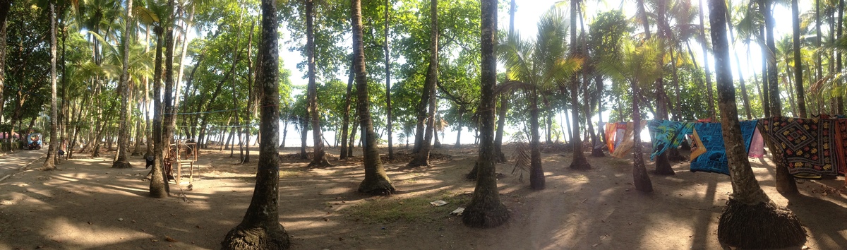 Photo Costa Rica Dominical 2015-03 43