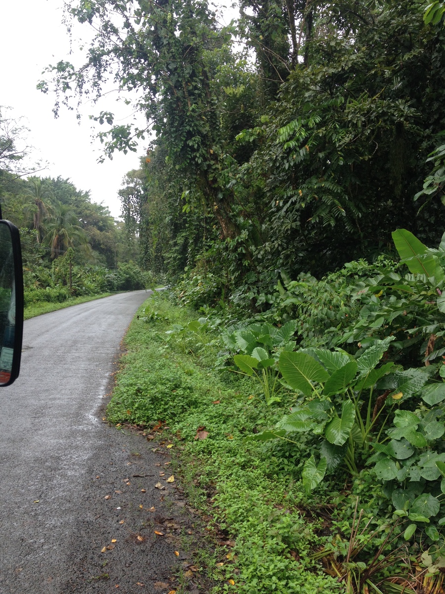 Photo Costa Rica Puerto Viejo de Talamanca 2015-03 92