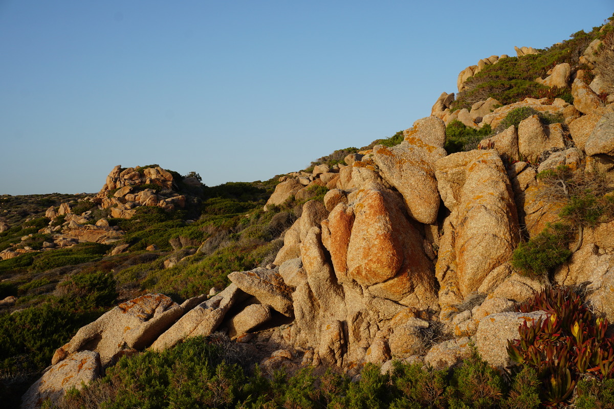 Photo France Corse Plage de la Tonnara 2017-07 34