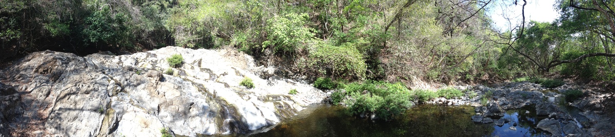 Photo Costa Rica Montezuma 2015-03 326