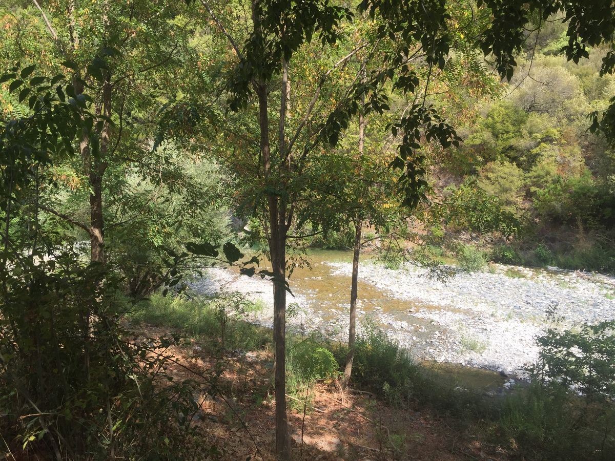 Photo France Corse Tox 2017-09 12