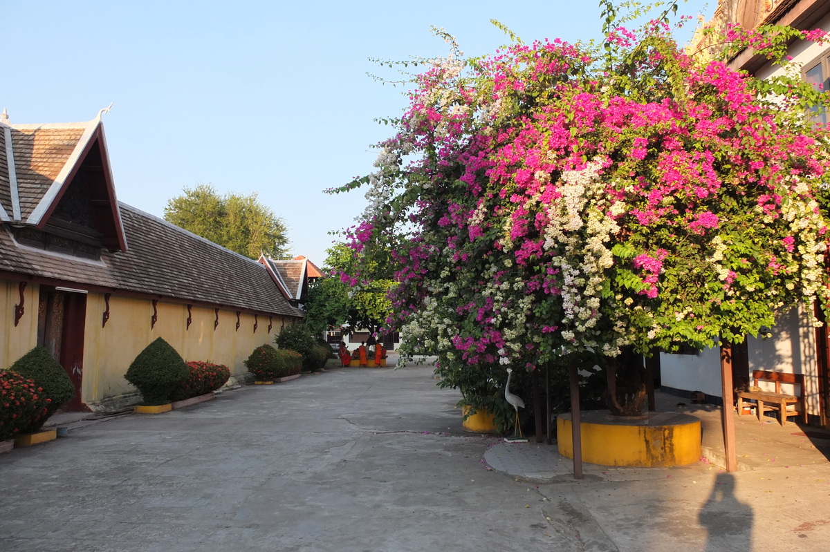 Photo Laos Vientiane 2012-12 312