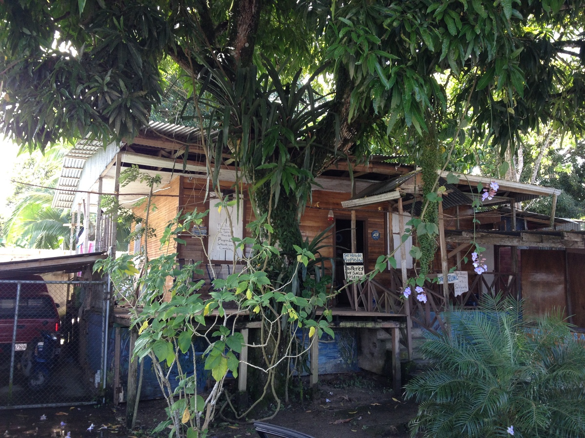 Photo Costa Rica Cahuita 2015-03 120