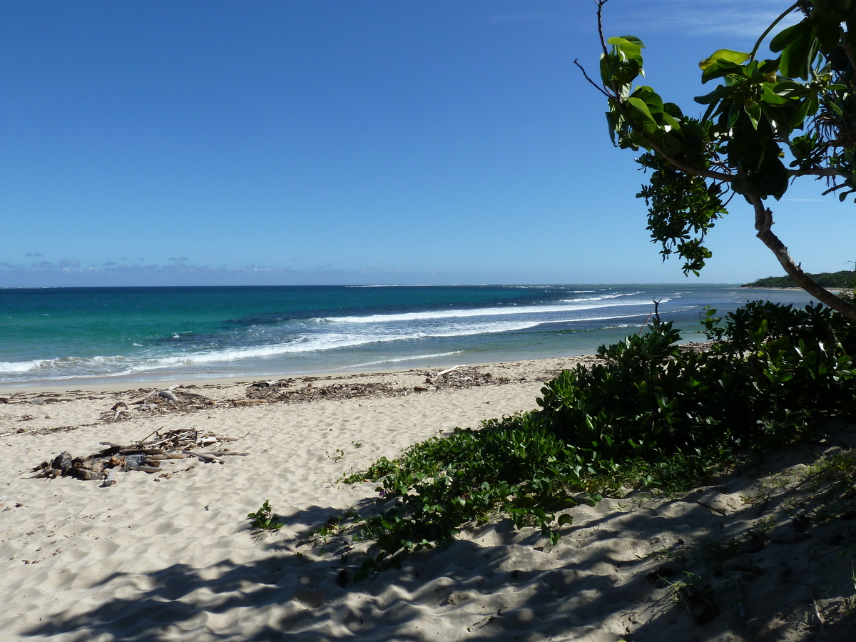Photo Îles Fidji Natadola beach 2010-05 52