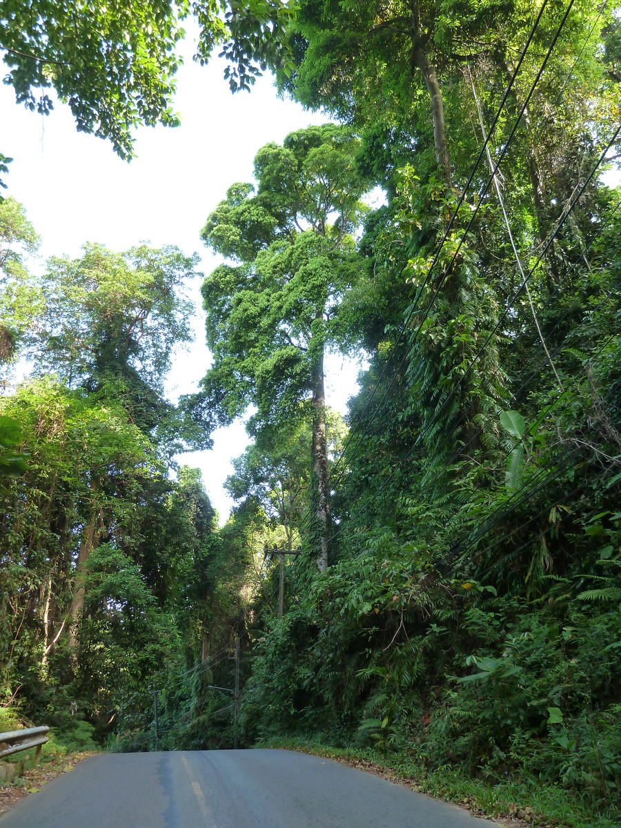 Photo Thaïlande Ko Chang 2011-12 78