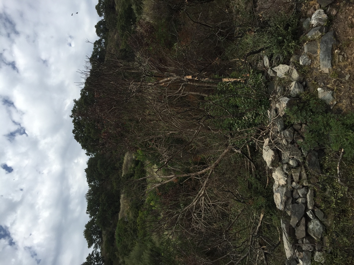 Photo France Corse Tox 2017-09 13