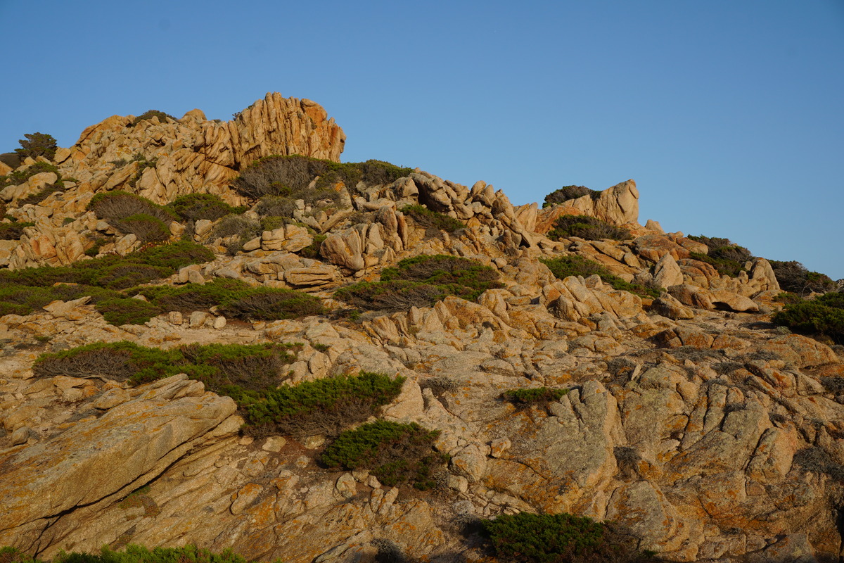 Photo France Corse Plage de la Tonnara 2017-07 8
