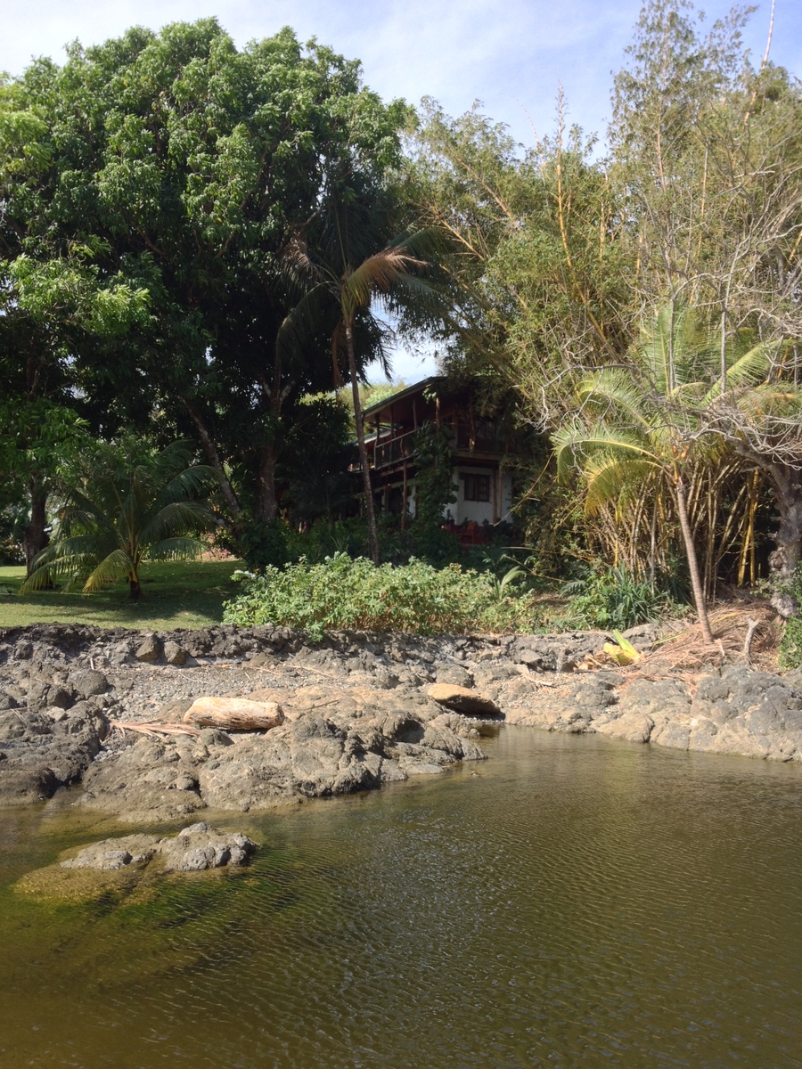 Photo Costa Rica Montezuma 2015-03 48