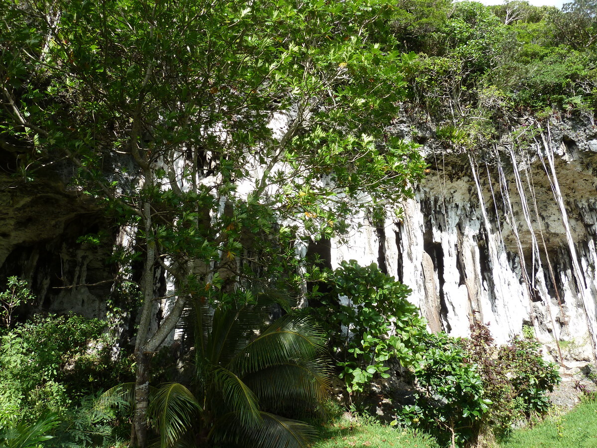 Photo Nouvelle-Calédonie Lifou Josip 2010-05 2