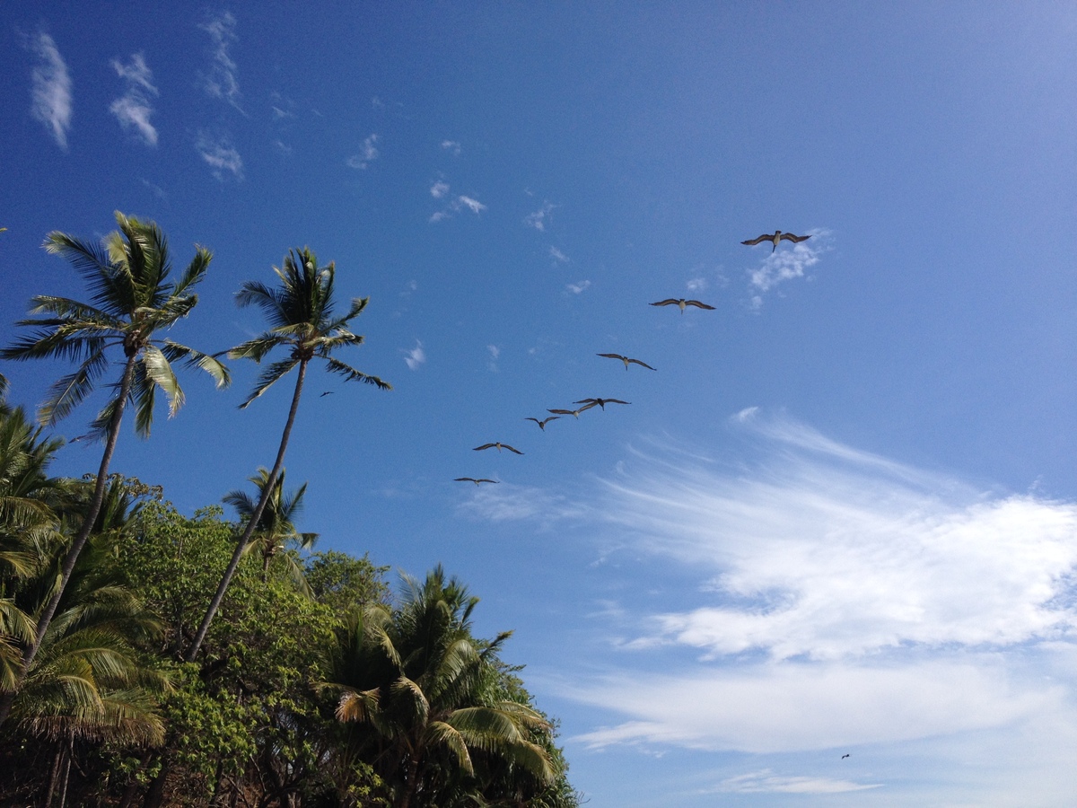 Photo Costa Rica Montezuma 2015-03 496