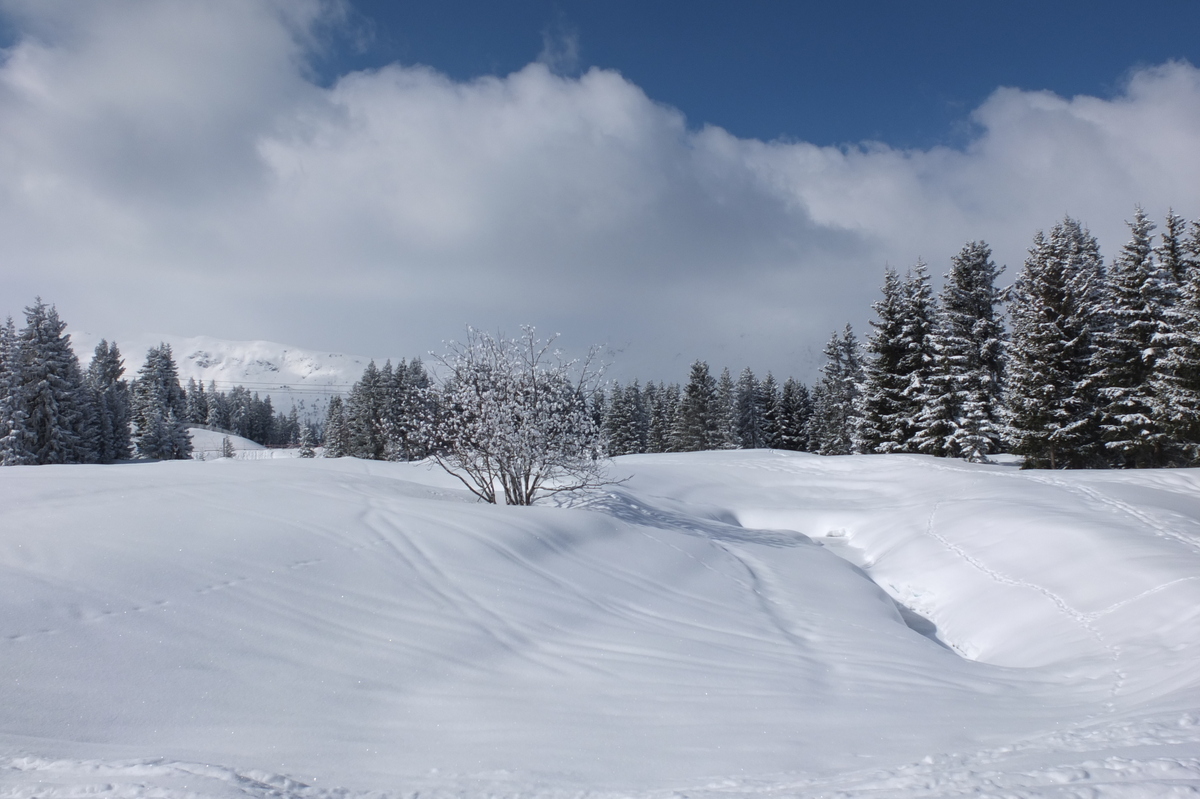 Photo France Les 3 Vallées 2013-03 391