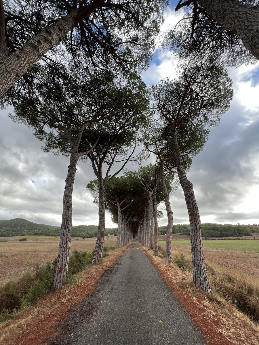 Photo Italie Toscane 2021-09 10