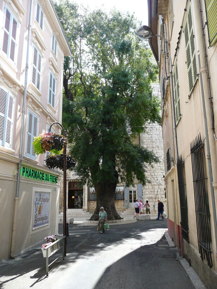 Photo France Vence Avenue H. Isnard 2007-07 39