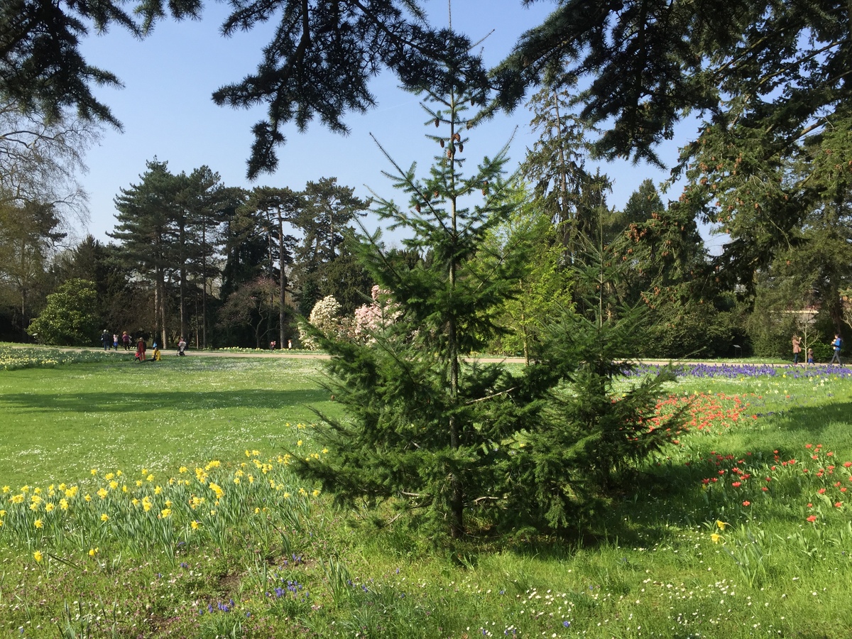 Photo France Paris Bagatelles 2017-03 6