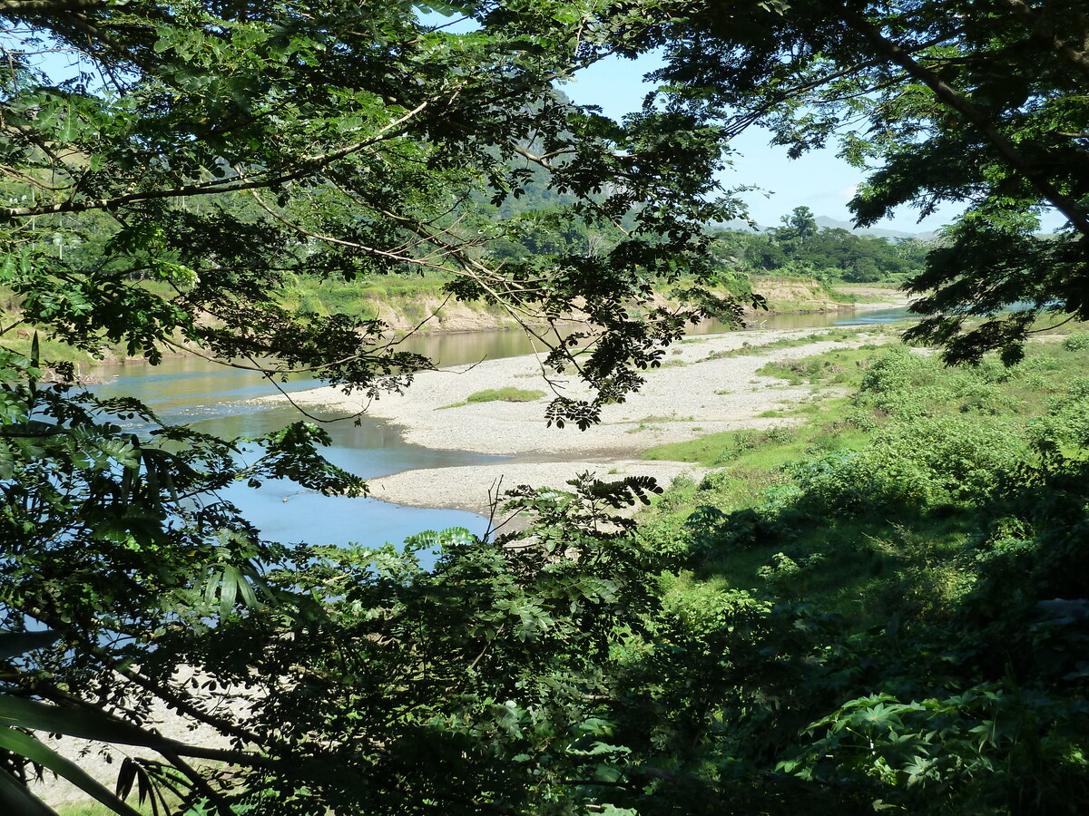 Photo Îles Fidji Rivière Sigatoka 2010-05 62