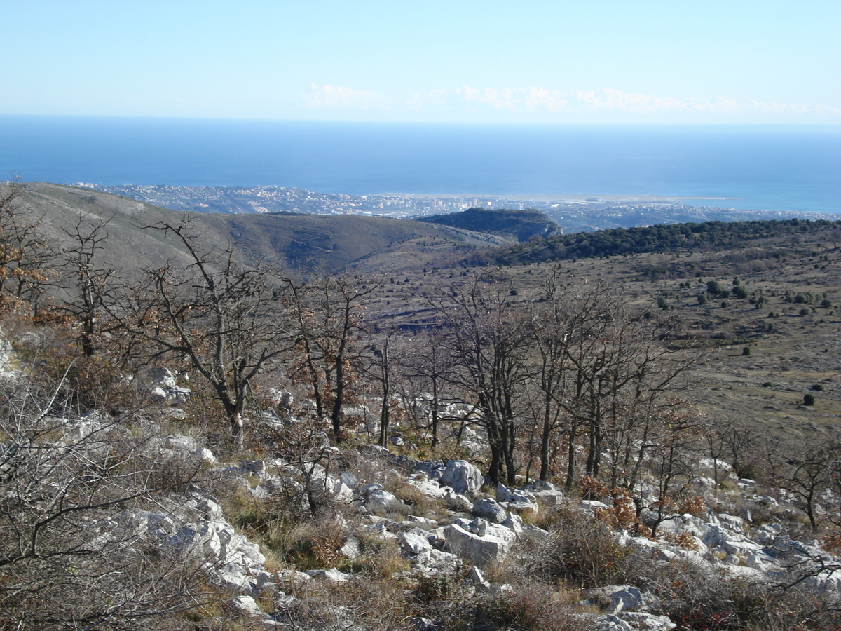 Photo France Côte d'Azur route du Col de Vence 2007-01 23