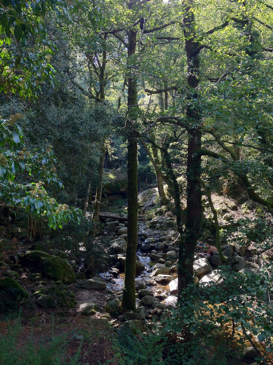 Photo France Corse Bavella 2012-09 22