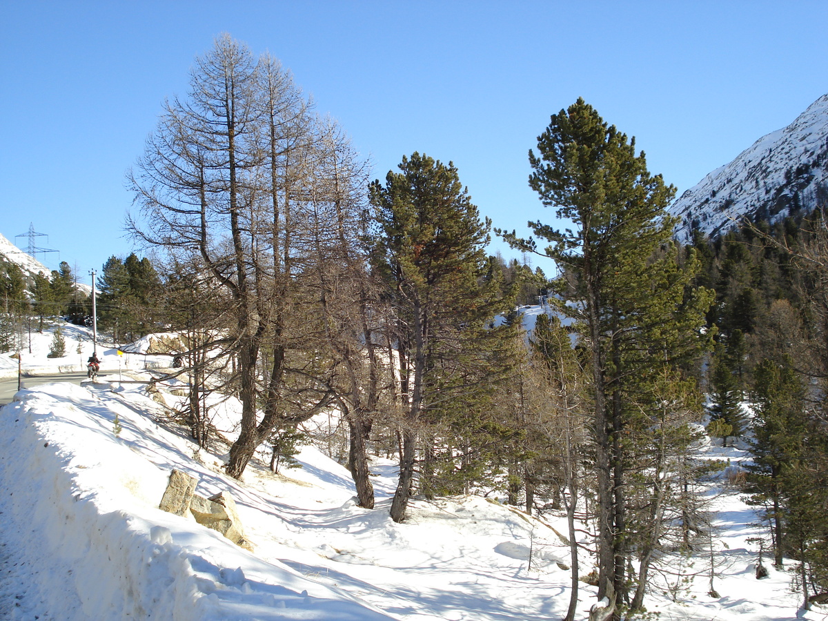 Photo Suisse Route de Pontresina au Lac Blanc 2007-01 55