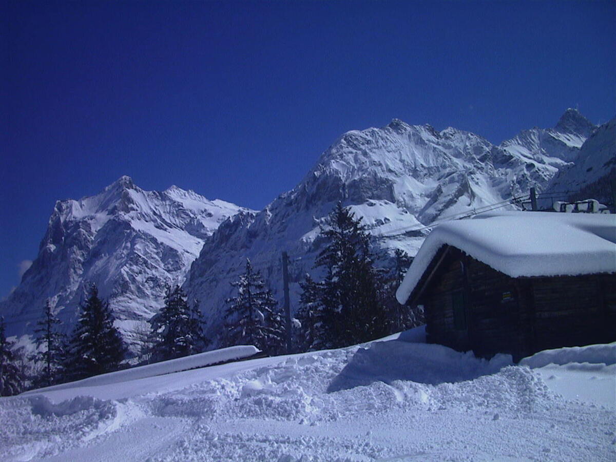 Photo Suisse Grindelwald 1999-04 16