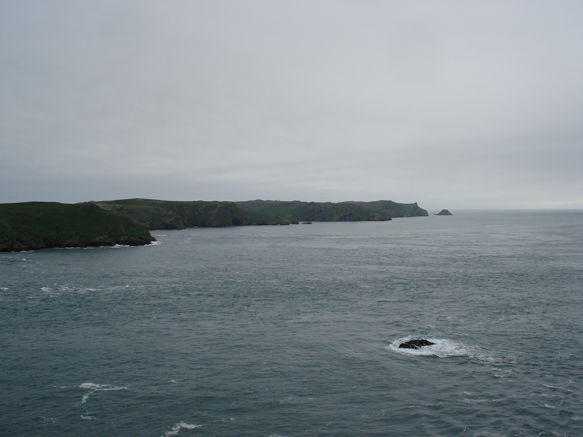 Photo Royaume-Uni Pembrokeshire Martins Havens 2006-05 23