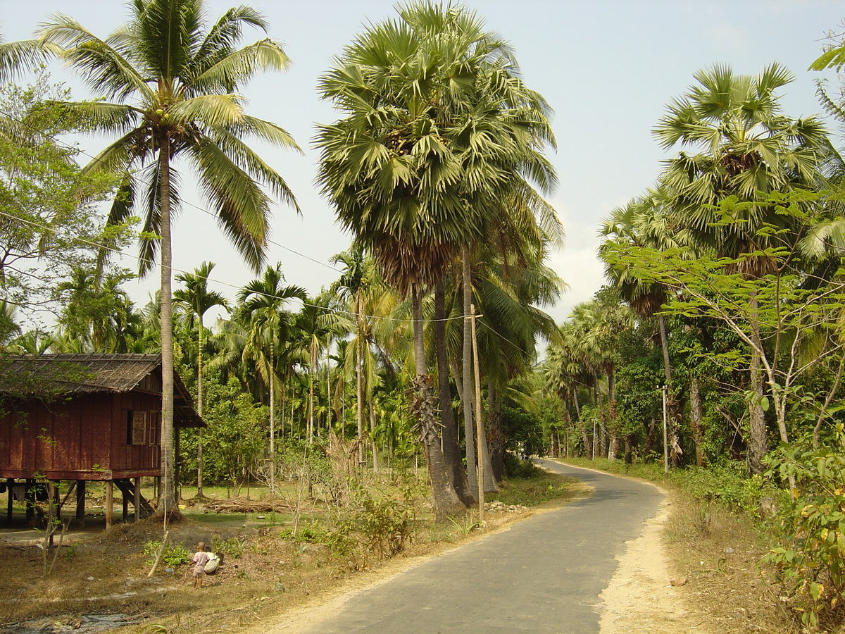 Photo Birmanie (Myanmar) Nord de Maungmagan 2005-01 8