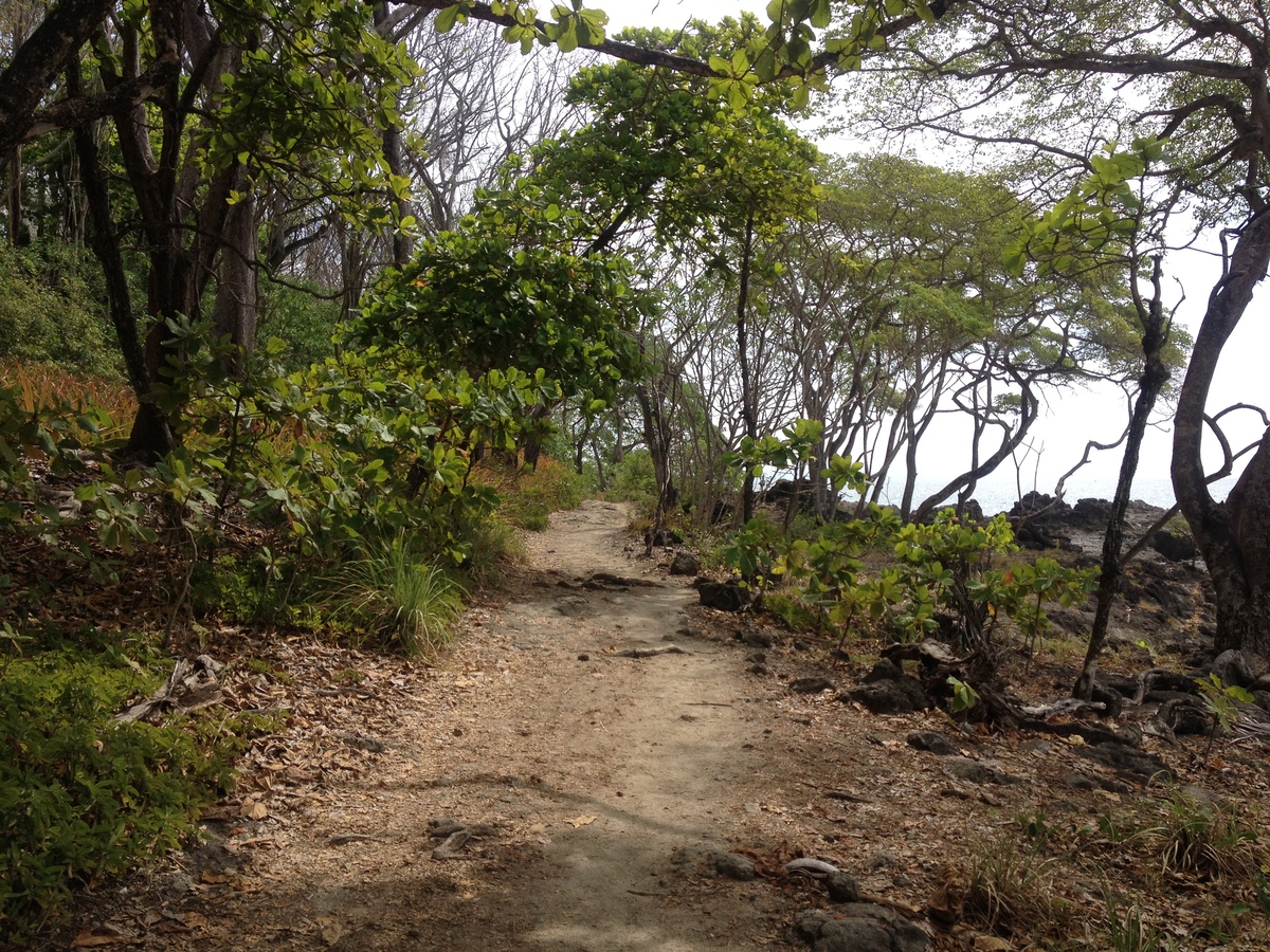 Photo Costa Rica Montezuma 2015-03 130