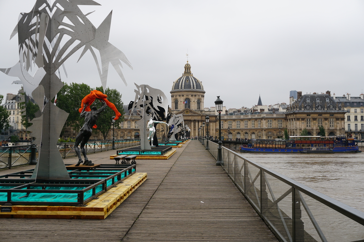Photo France Paris La Seine 2016-06 27