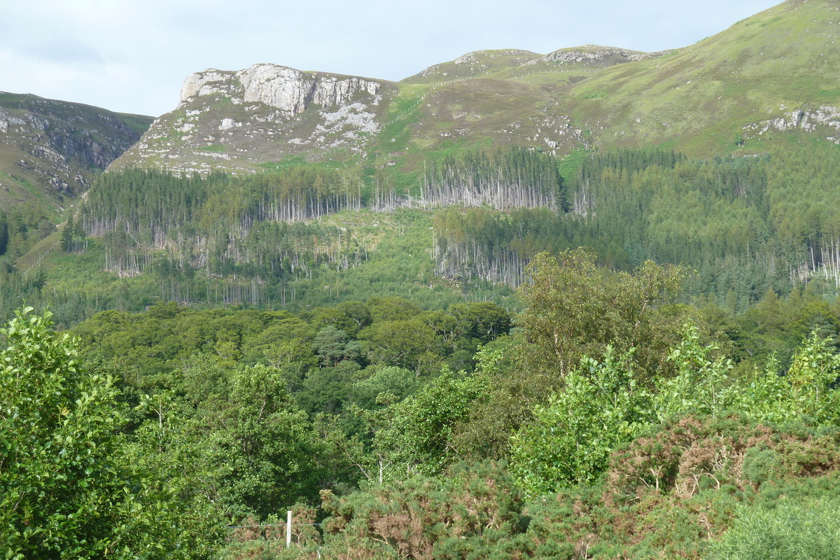 Photo Royaume-Uni Wester Ross 2011-07 149