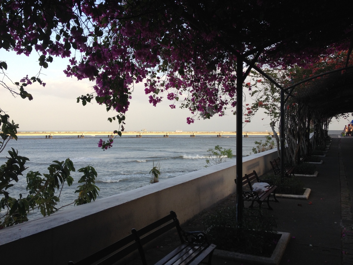 Photo Panama Panama 2015-03 42