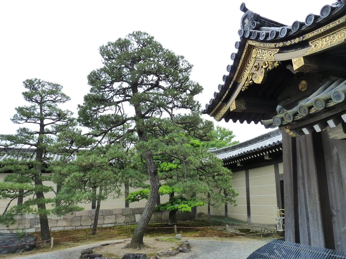 Photo Japon Kyoto Château Nijo 2010-06 16