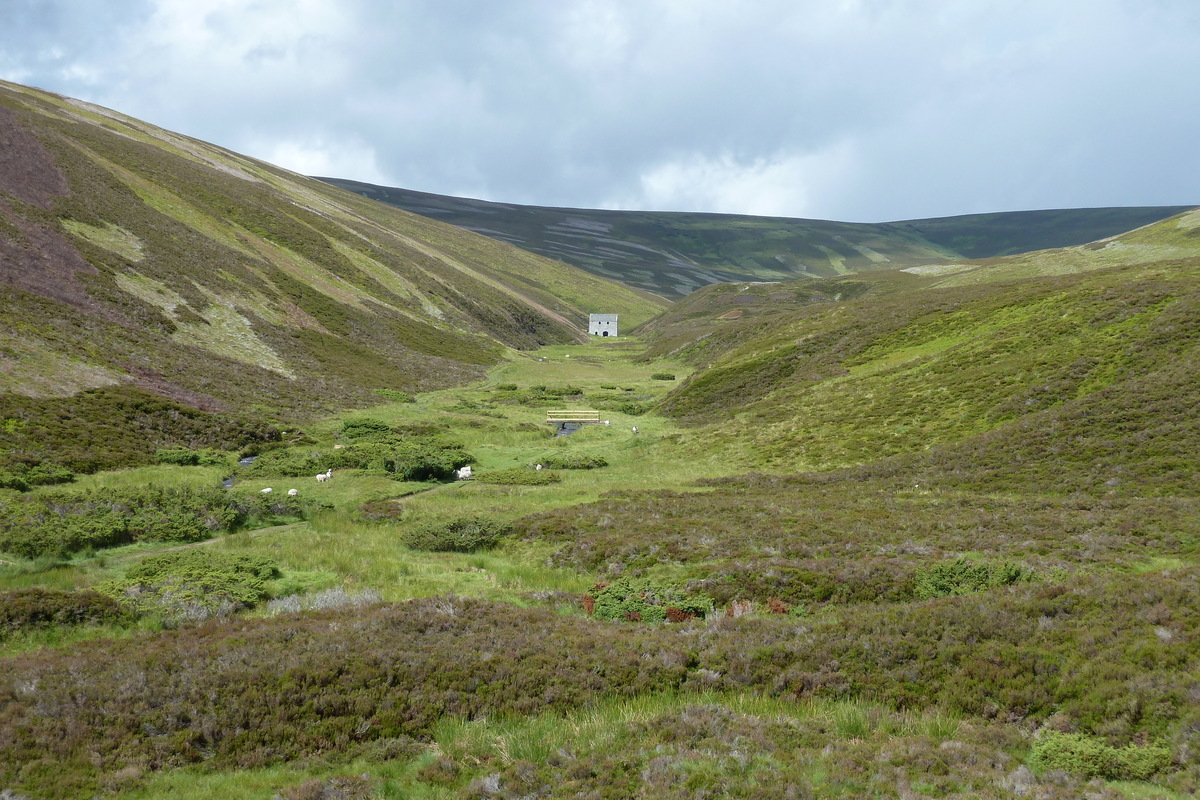 Photo Royaume-Uni Les Cairngorms 2011-07 9