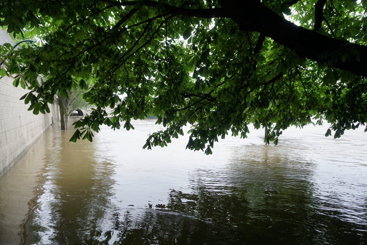 Photo France Paris La Seine 2016-06 37