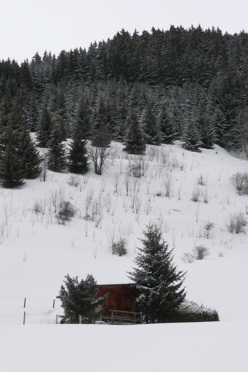 Photo France Megève Le Planay 2010-02 48
