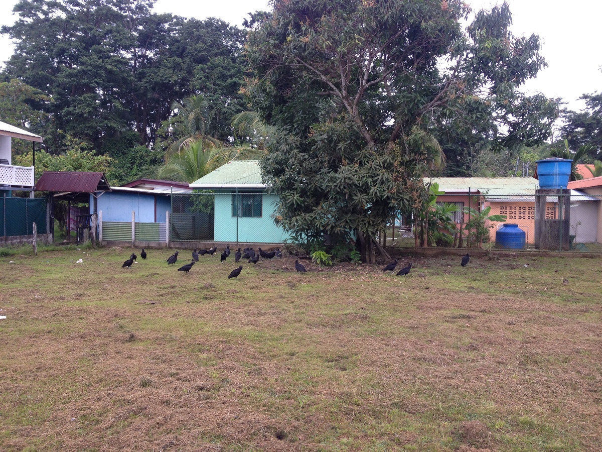 Photo Costa Rica Puerto Viejo de Talamanca 2015-03 111