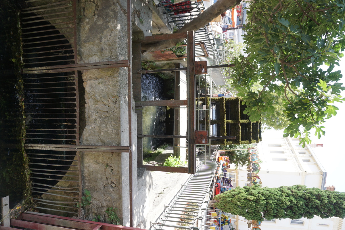 Photo France L'Isle-sur-la-Sorgue 2017-08 1