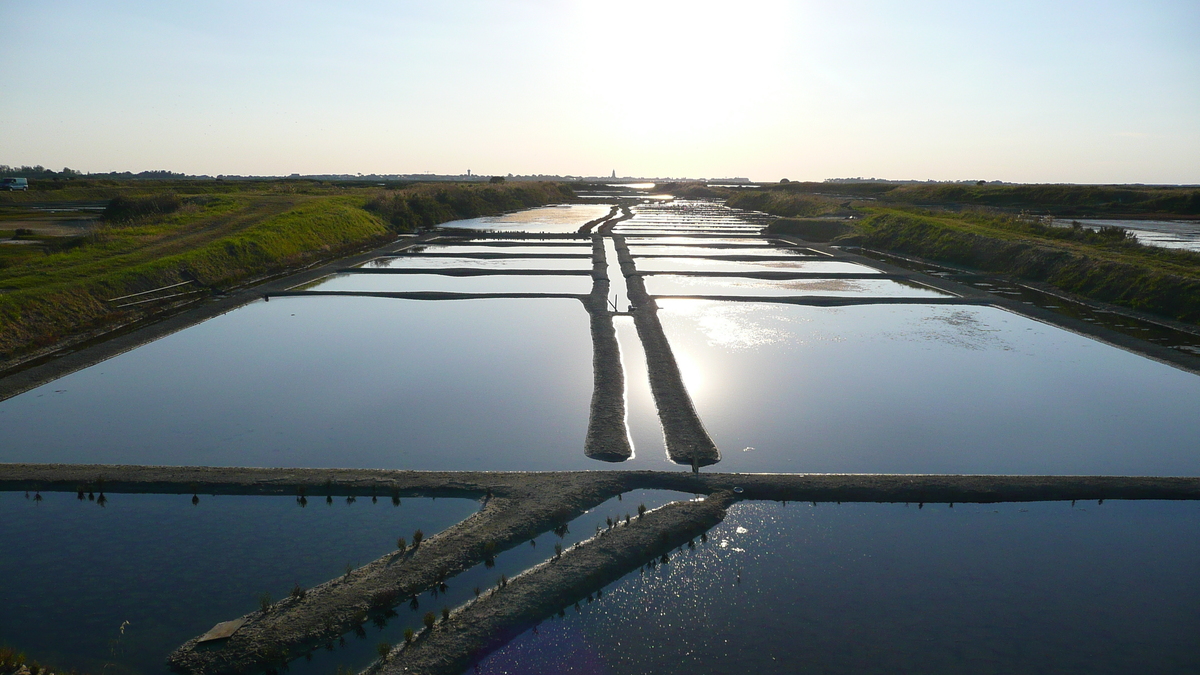 Photo France Guérande Les marais salants 2007-08 31