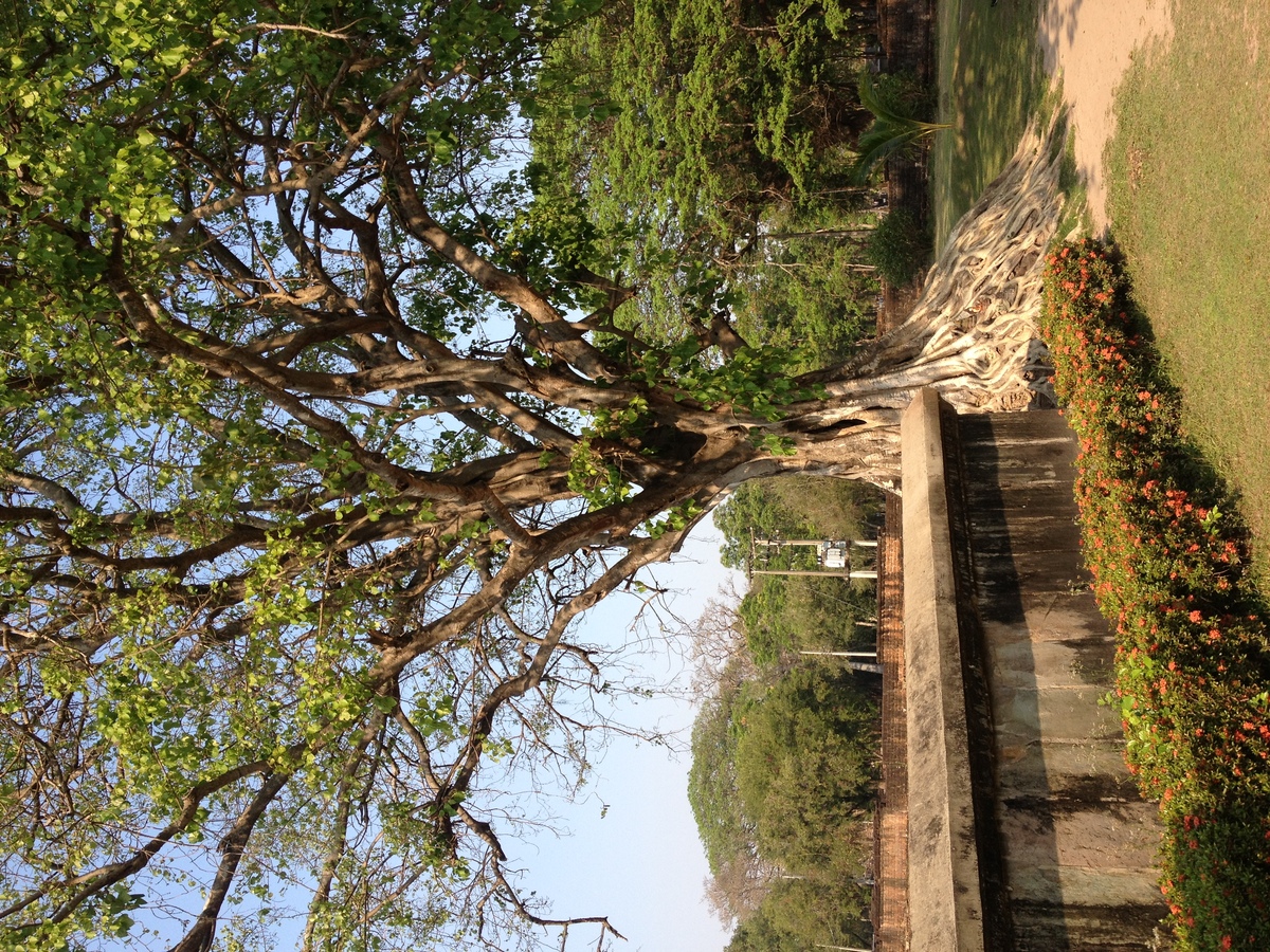 Photo Thaïlande Sukhothai 2014-02 37