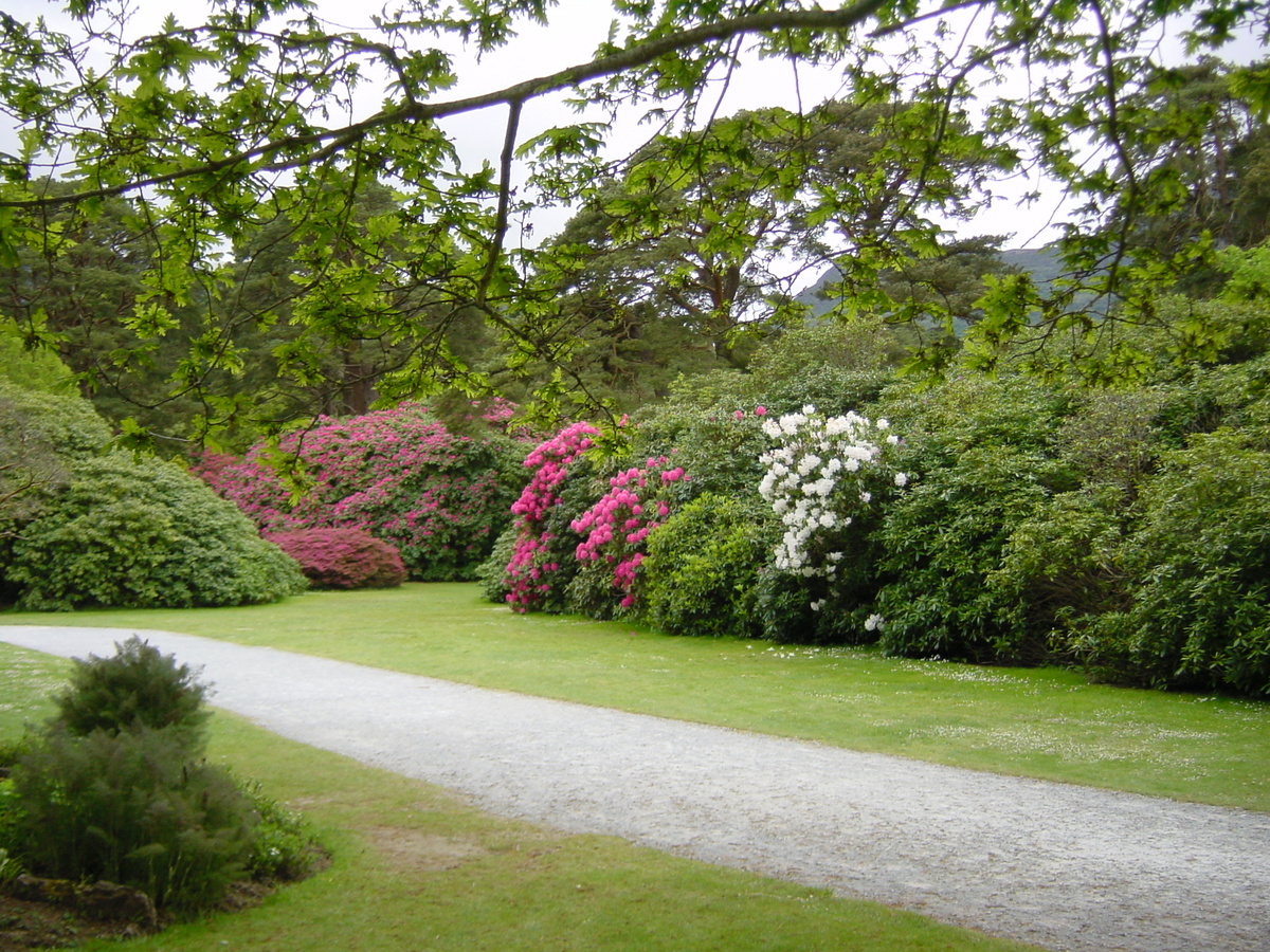 Photo Irlande Kerry Parc National de Killarney Muckross House 2004-05 17